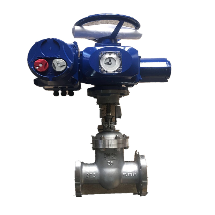 ASP electric actuator