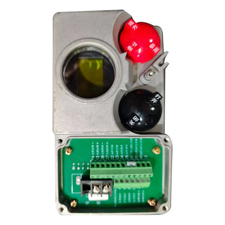 Electric Actuator Control Unit